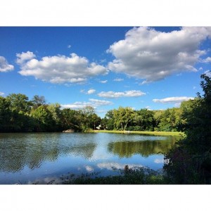 A breath-taking landscape view of a lake populated by tress.